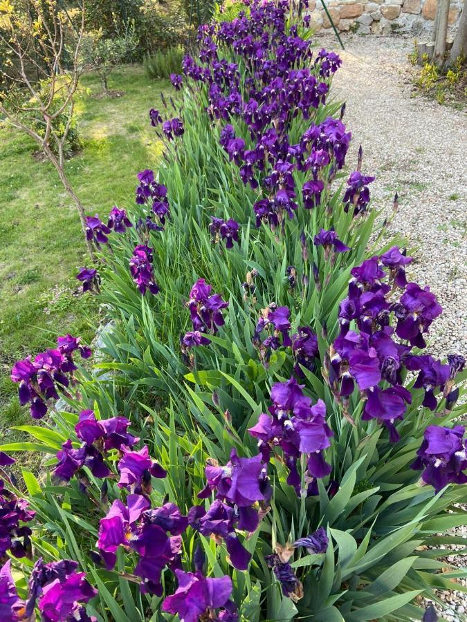 Magagnosc Bastide De La Lauve Bed & Breakfast エクステリア 写真