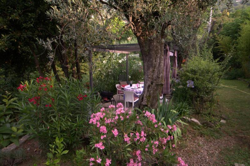 Magagnosc Bastide De La Lauve Bed & Breakfast エクステリア 写真