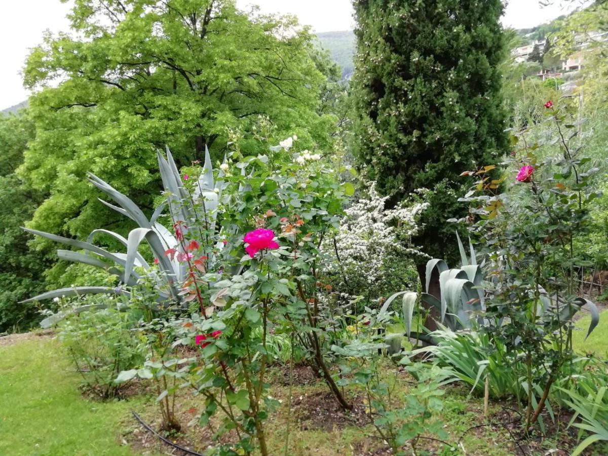 Magagnosc Bastide De La Lauve Bed & Breakfast エクステリア 写真